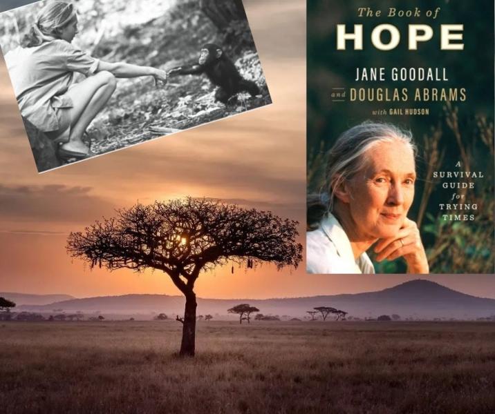Jane Goodall and her new book The Book of Hope